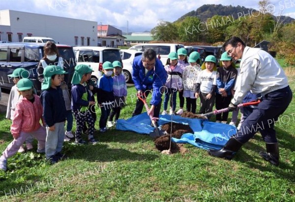日高信金がひろお保育園にサクラを植樹