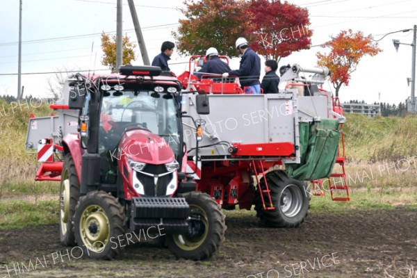 ロボトラで収穫機けん引してのジャガイモ収穫　更別で初の一般公開