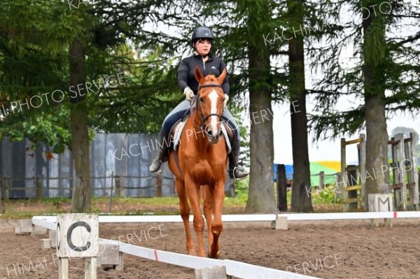 秋空の下、人馬一体で競技　秋季十勝地区馬術大会 2