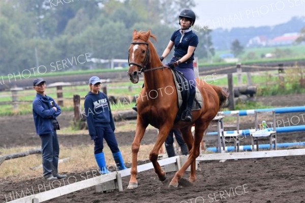 秋空の下、人馬一体で競技　秋季十勝地区馬術大会 4