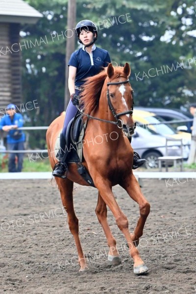 秋空の下、人馬一体で競技　秋季十勝地区馬術大会 5