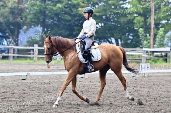 馬場馬術第３課目Ａに挑む選手