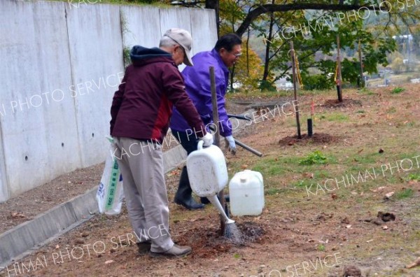 合同納骨塚の敷地を囲むように苗木１８本を植えた