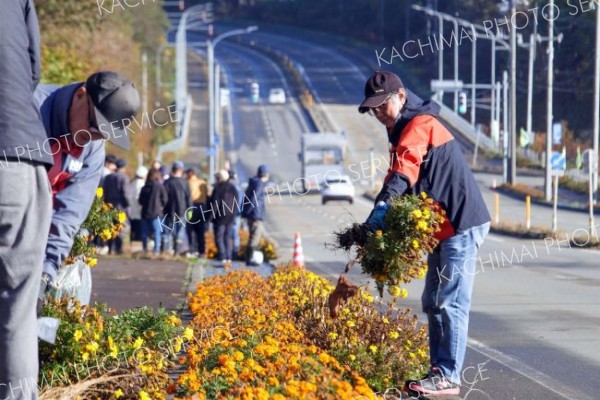 市街地飾った花壇を撤去　広尾町内会