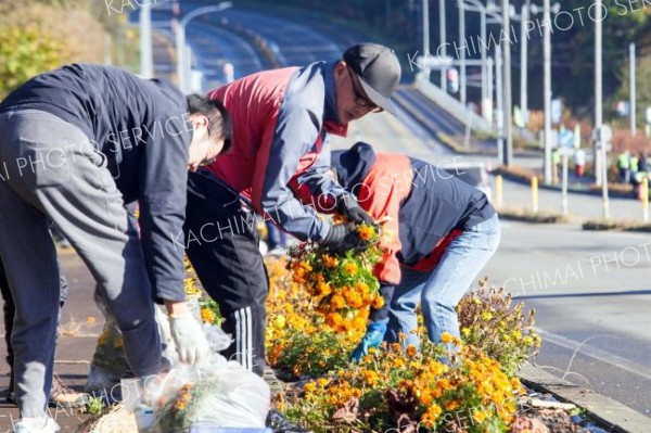 役割を終えた花々を撤去する参加者ら