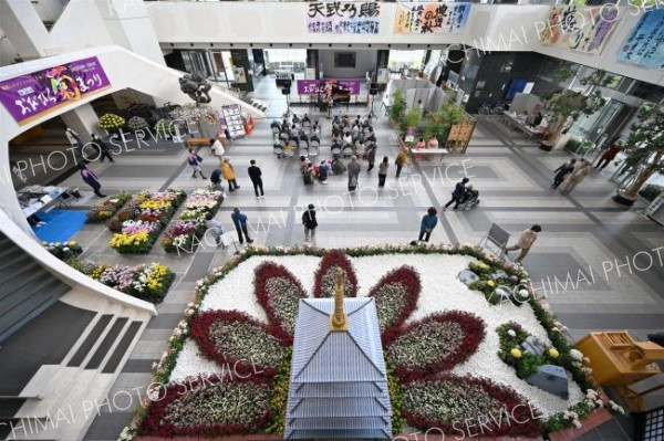 菊まつり来場者最低水準も「ガイドツアー」手応え　花の魅力発信に注力