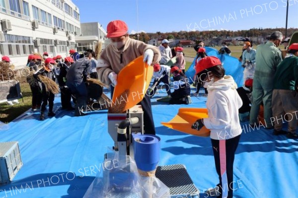伝統農具で脱穀体験　池田小３年生 5
