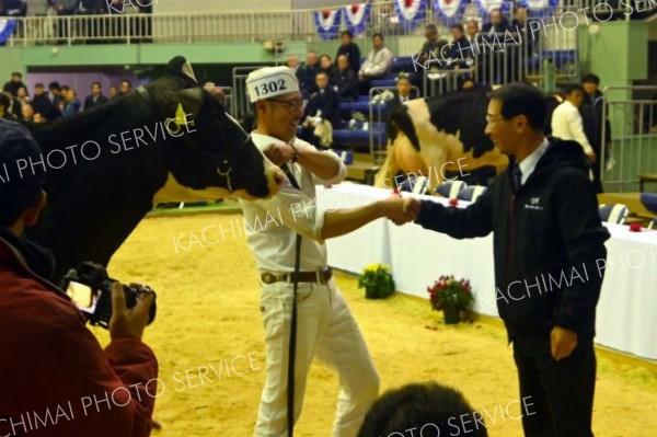 １０年ぶり熱気　全日本ホルスタイン共進会～写真特集