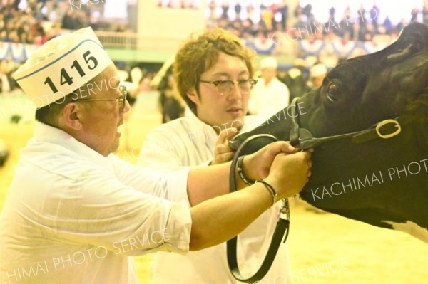 体格の良い牛を引き、額に汗をしたたらせる出品者