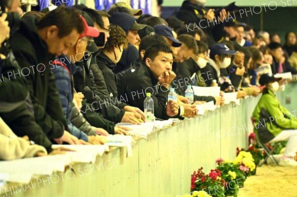 どの牛が上位に入賞するか注目しながら審査を見守る来場者