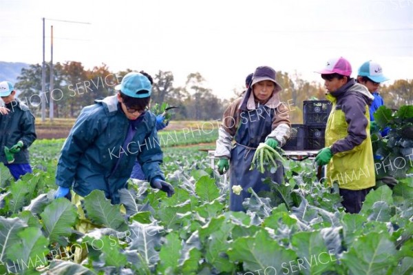 食と農村の価値、都市の生徒に　農村ホームステイ受け入れ進む