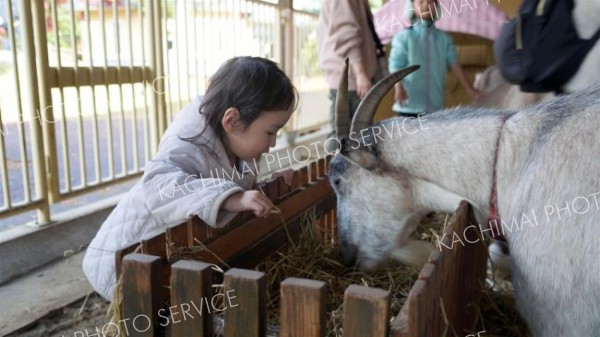 おびひろ動物園、夏季開園最終日もにぎわい　冬季開園は１２月６日から
