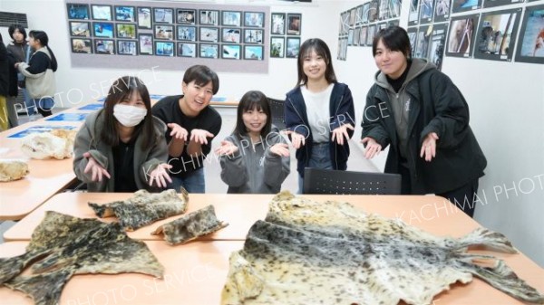 ゼニガタアザラシの展示を行った畜大生