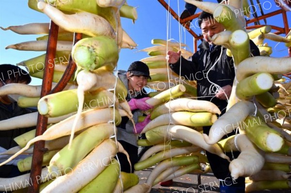 平和園札内店で、漬け物用のダイコン干し（金野和彦撮影）