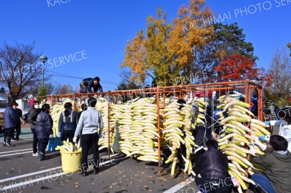 平和園札内店で、漬け物用のダイコン干し（金野和彦撮影）