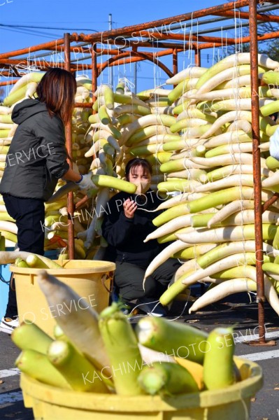 平和園札内店で、漬け物用のダイコン干し（金野和彦撮影）