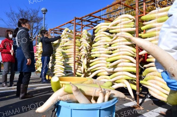 平和園札内店で、漬け物用のダイコン干し（金野和彦撮影）