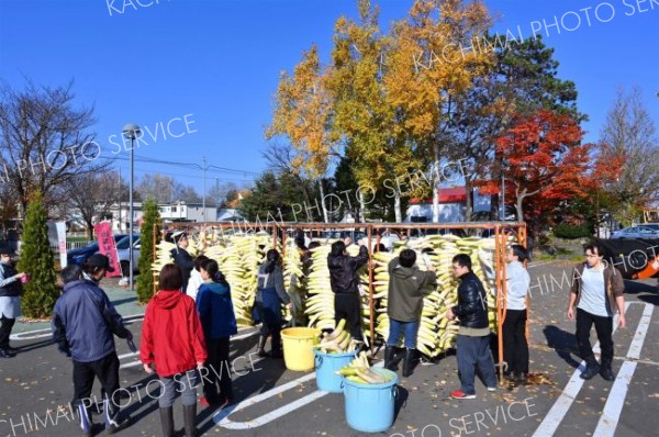 平和園札内店で、漬け物用のダイコン干し（金野和彦撮影）