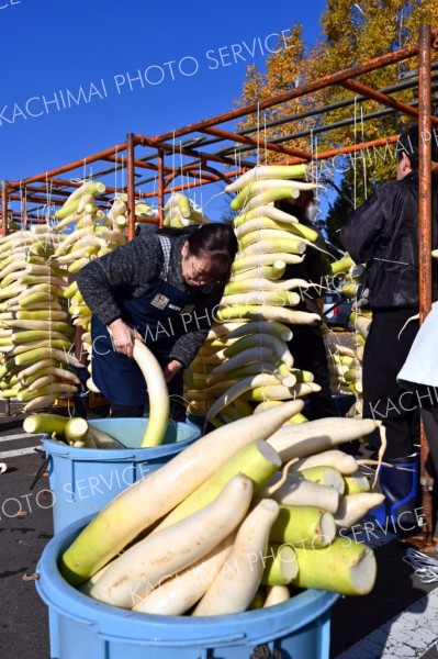 平和園札内店で、漬け物用のダイコン干し（金野和彦撮影）