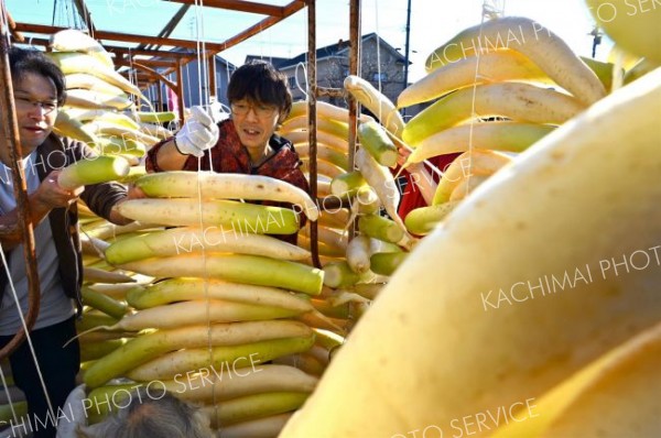 漬け物用のダイコンを干す平和園の社員（４日午前９時半ごろ。幕別町内の平和園札内店で。金野和彦撮影）