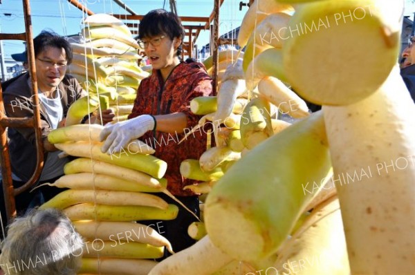 漬け物用のダイコンを干す平和園の社員（４日午前９時半ごろ。幕別町内の平和園札内店で。金野和彦撮影）
