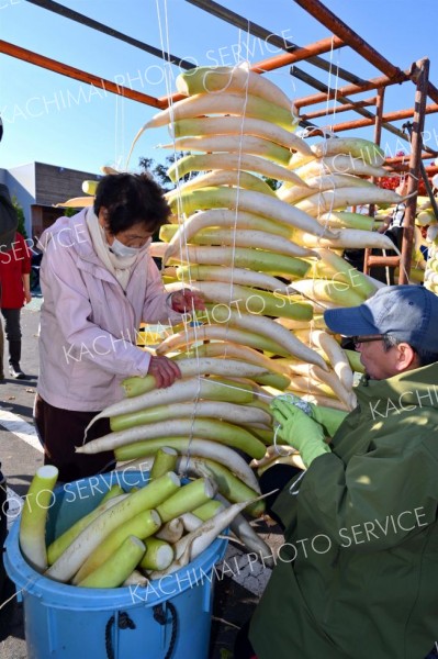 平和園札内店で、漬け物用のダイコン干し（金野和彦撮影）