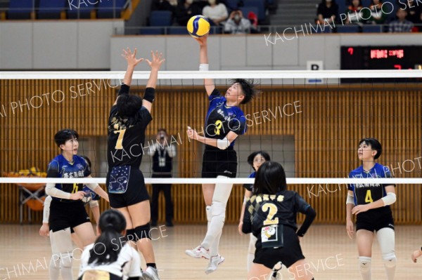 帯南商女子　５年ぶりの春高へ好発進　全日本高校バレー道代表決定戦開幕
