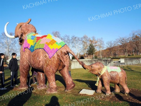 「ナウマンゾウの親子」に恒例のマフラー　幕別・忠類記念館～こぼれ話