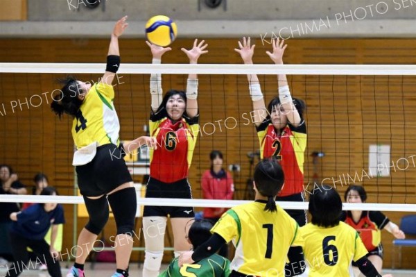 【女子２回戦・帯南商―北海】