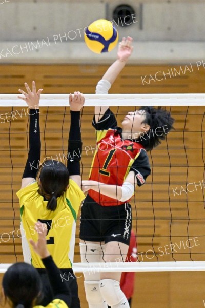 【女子２回戦・帯南商―北海】