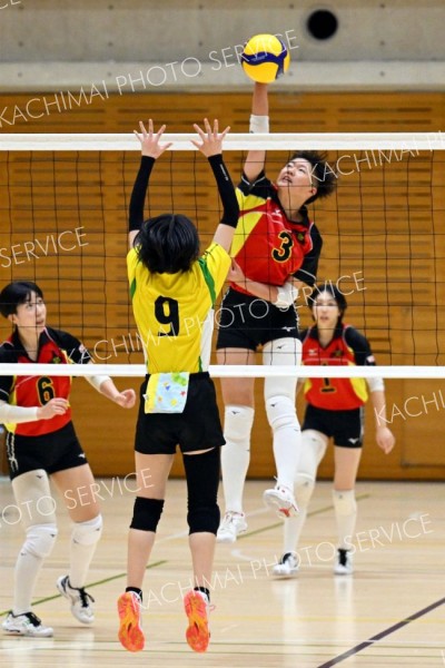 【女子２回戦・帯南商―北海】