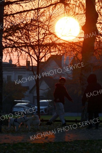 立冬（金野和彦撮影）