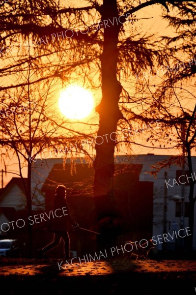 早朝の朝日を浴びて園内を犬と散歩をする市民（７日午前６時２０分ごろ、帯広市緑ヶ丘公園で。金野和彦撮影）