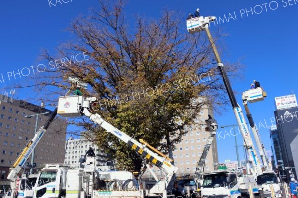 帯広駅北に４万５０００個の電飾　イルミネーション準備完了　２９日から点灯