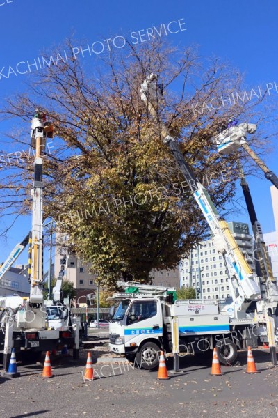 高所作業車で電飾の取り付け作業を行った