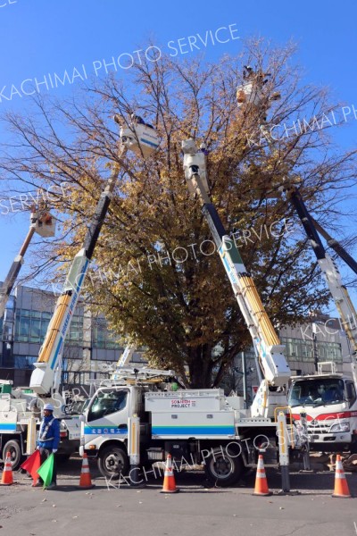 高所作業車で電飾の取り付け作業を行った