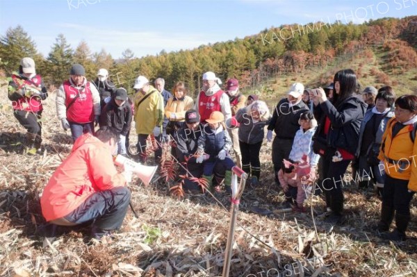 約８０人が４種の苗木５００本を植えた