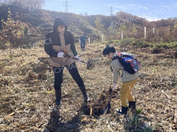 足寄で森づくり体験会 3