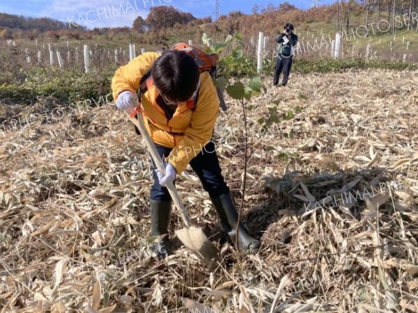足寄で森づくり体験会 4