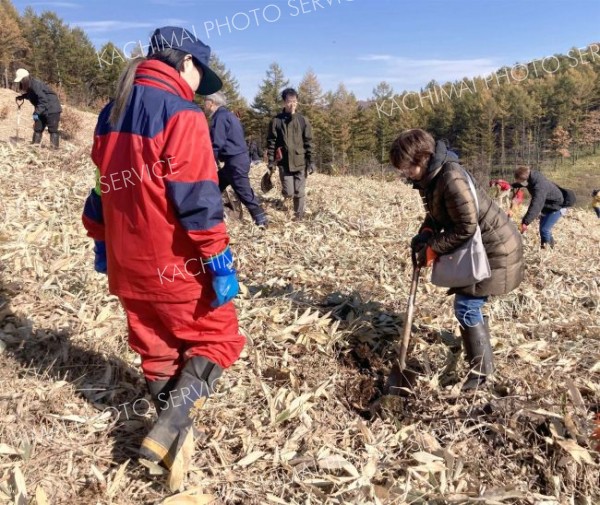 足寄で森づくり体験会 5