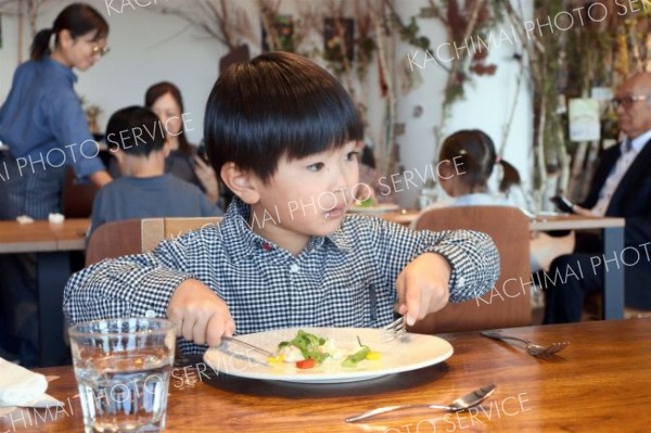 ナイフとフォークを使いフルコースを味わう園児