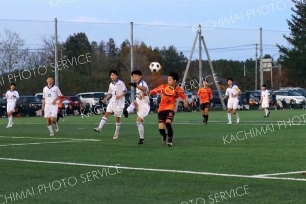 帯柏葉高（１６）