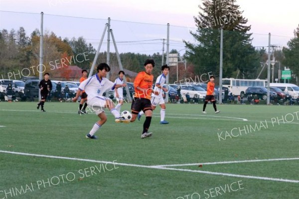 帯柏葉高（１４）