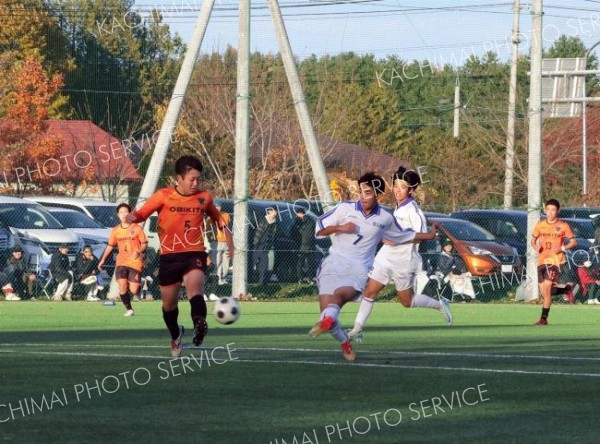 帯柏葉高（７）