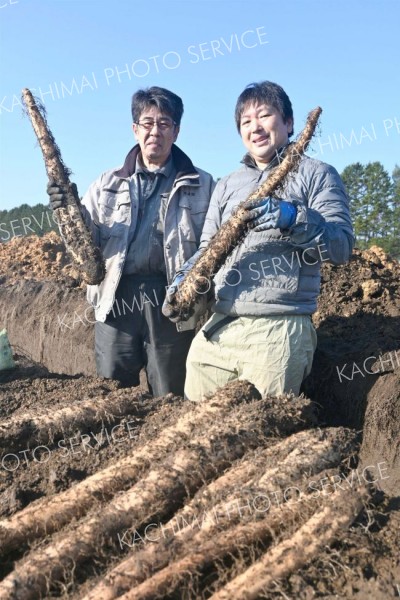 ヤンマー社員が十勝の農業現場訪問　地方活性化へ課題感把握