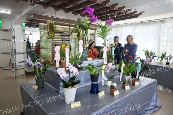 受賞の洋蘭を前に心得を分かち合う（右端）塩濱会長ら