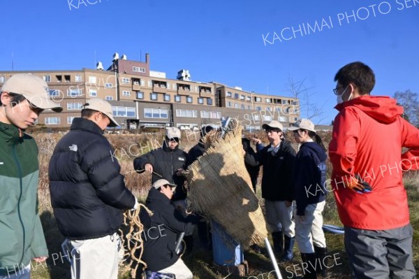 帯工生がタンチョウの給餌台設置　生息地分散で絶滅リスクを回避　十勝中央大橋近く 2