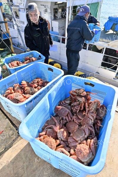 十勝港で毛ガニ漁　今季初水揚げ 2