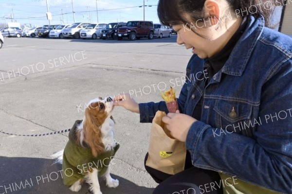愛犬と一緒に地場産サツマイモを使った焼き芋を味わう買い物客（２２日午前９時半ごろ撮影）
