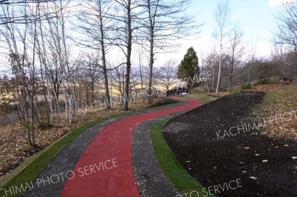 駐車場から展望デッキまでの園路。緩やかなＳ字カーブで行き来の負担を軽減した